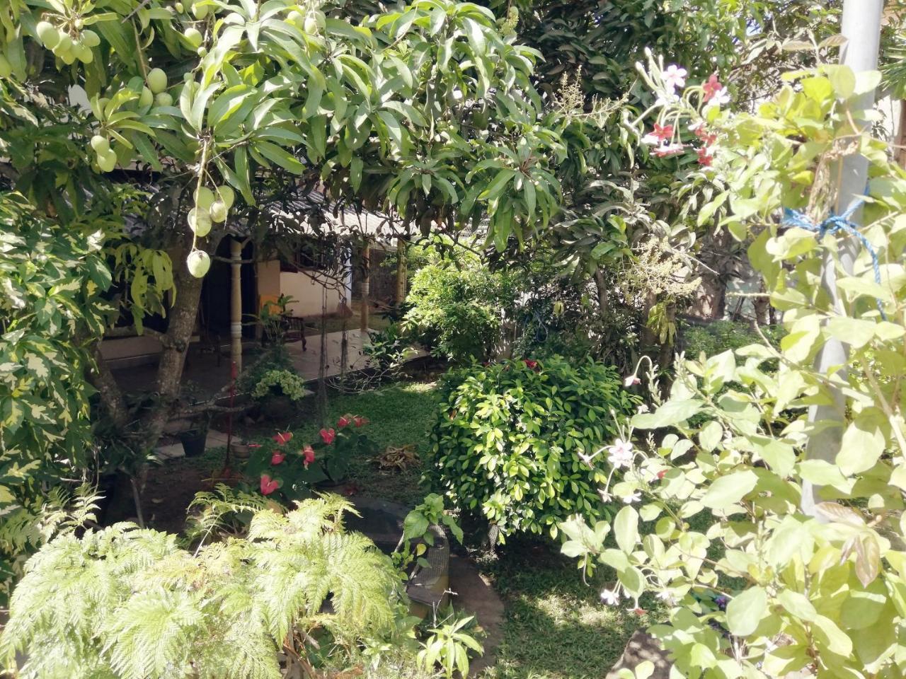 Nisadi Villa Бентота Екстериор снимка
